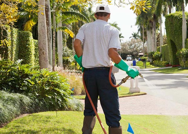 About Penitas TX Pest Control Pros